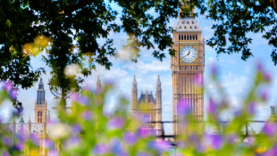 Policy Update: What it means for IPEM Members