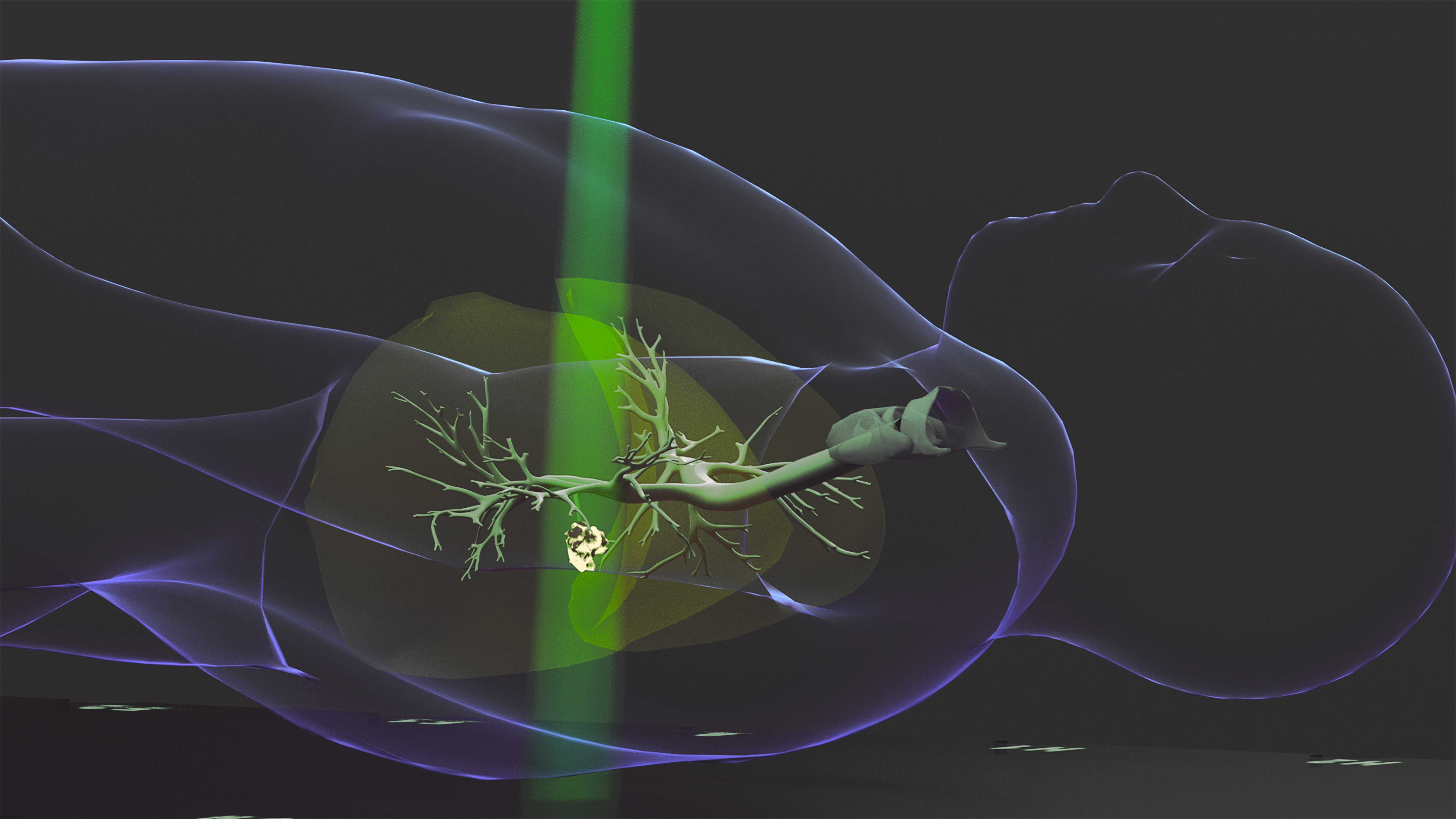 Radiotherapy SIG Radiobiology Webinar Series
